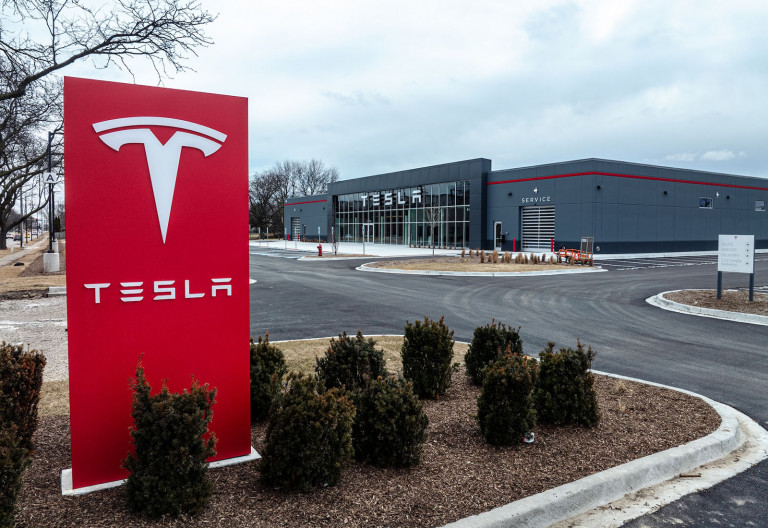 01-bison-crossing-tesla